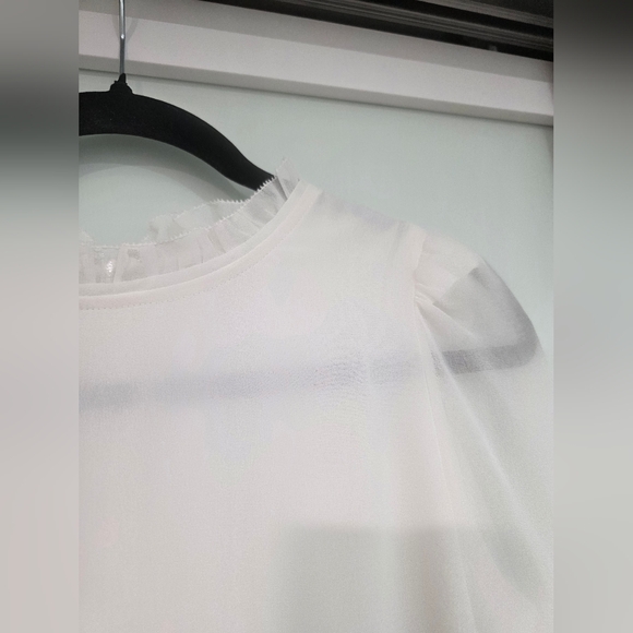 Wilfred Aritzia Swept Dress Puff-sleeve chiffon mini dress - Picture 10 of 17